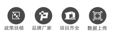 ߷ֲ,ƷƳ,Ŀȫ,չ